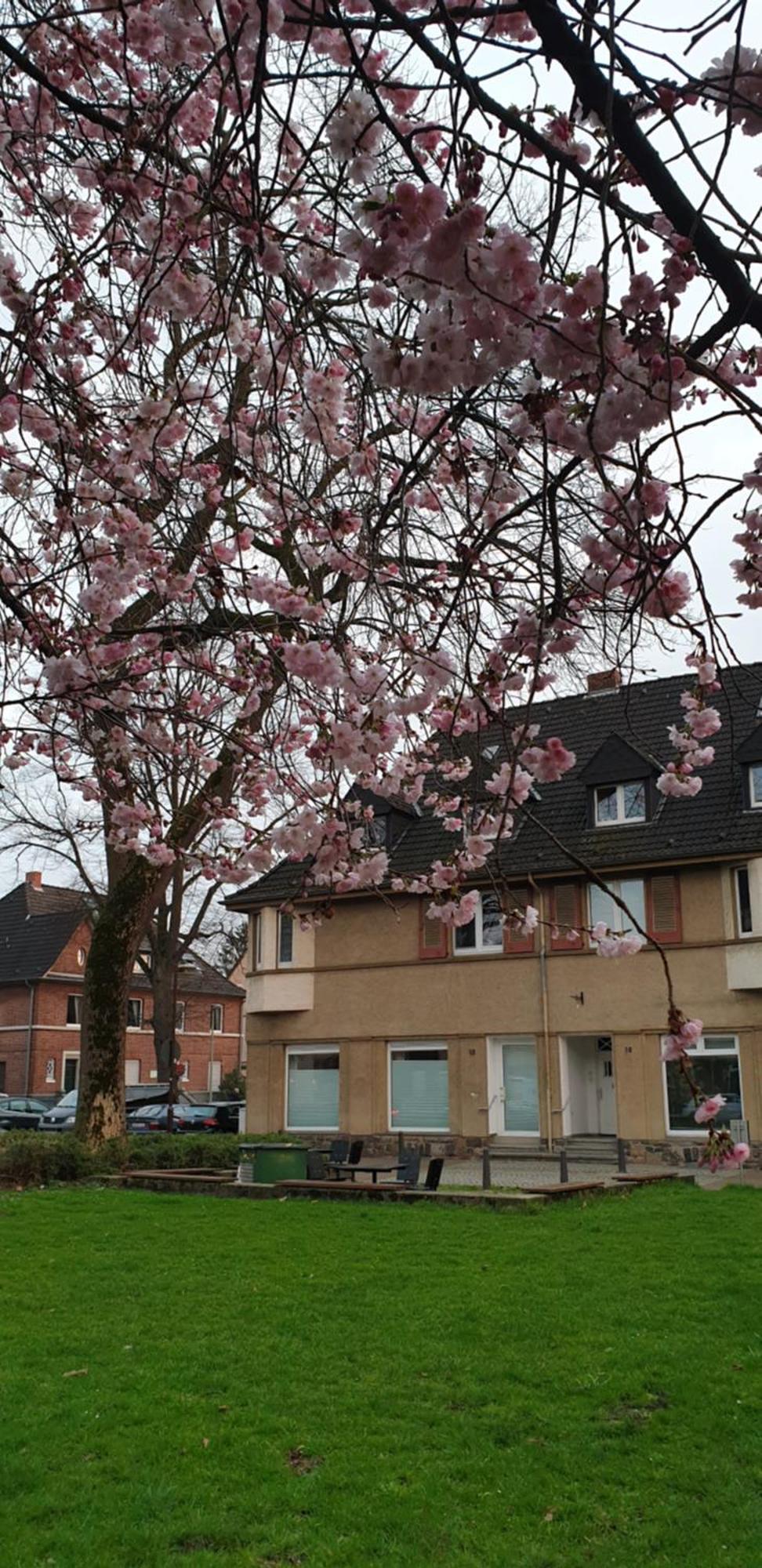 Apartment Wedau Duisburg Dış mekan fotoğraf